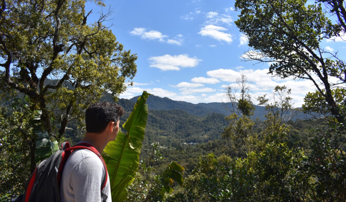 Nomadic Matt looking at the jungle in Madagascar