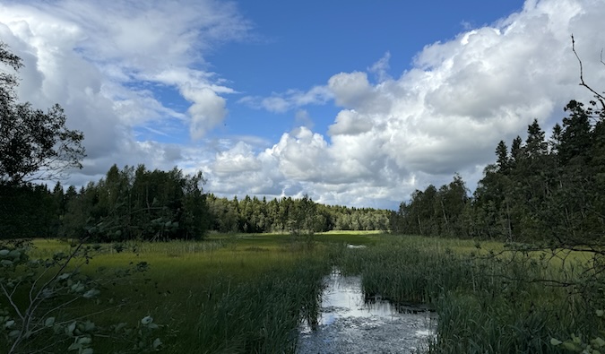The view overlooking northern sweden on a bright and sunny summer day