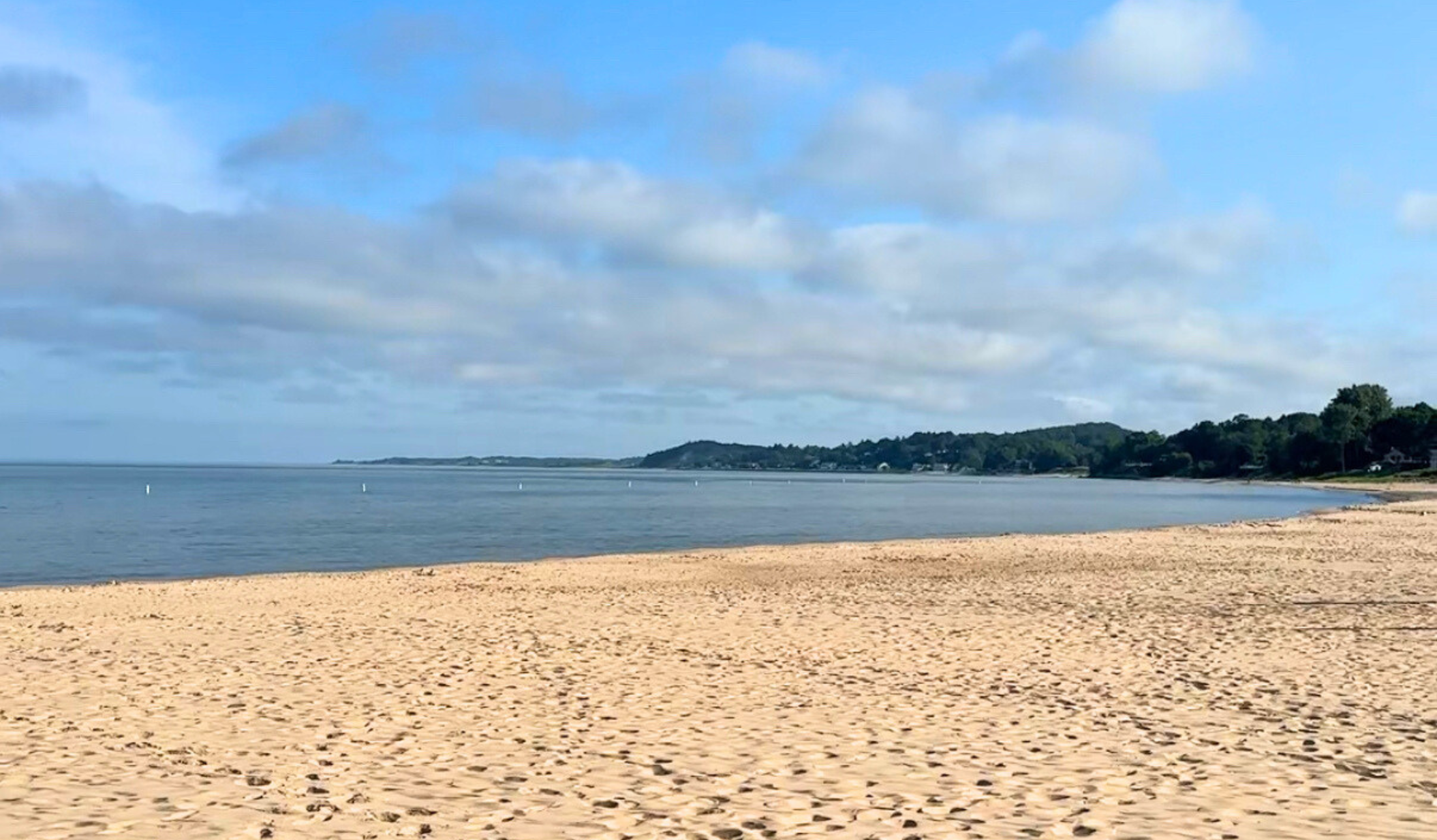 the beach in ludington